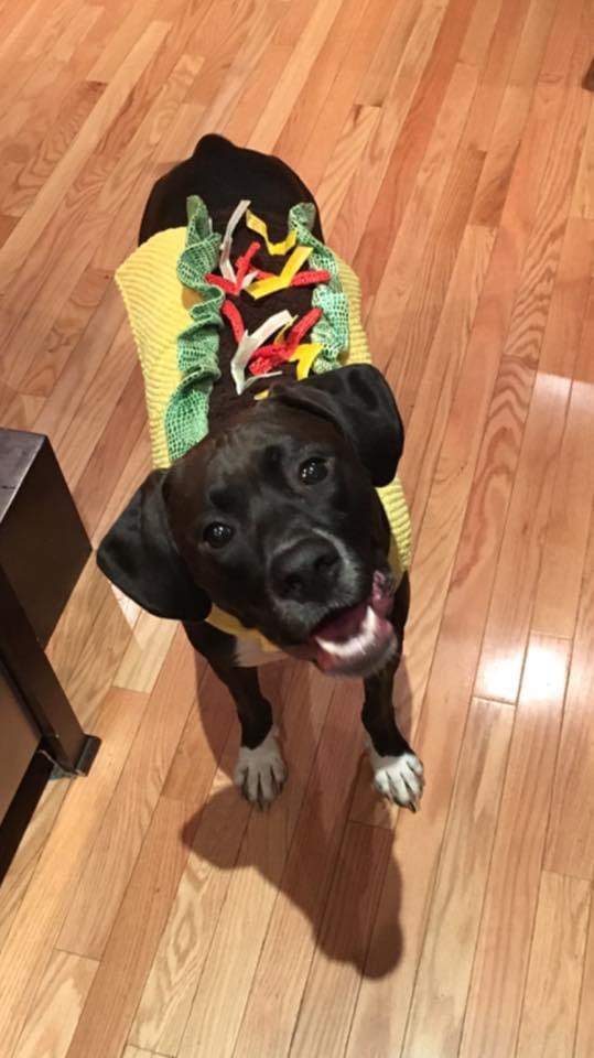 Princess's first halloween costume