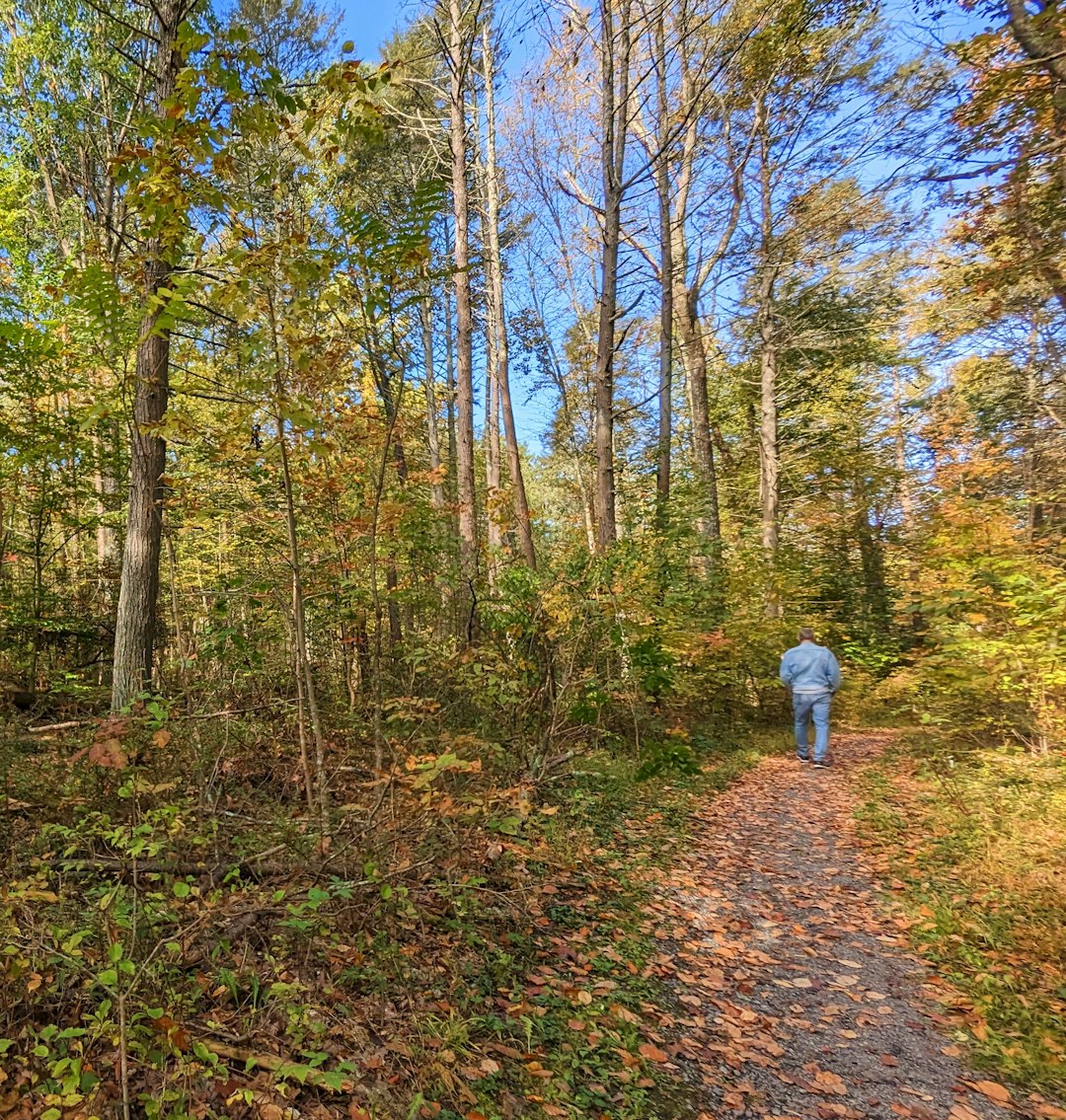 job search federal conviction — a person walking down a path in the woods