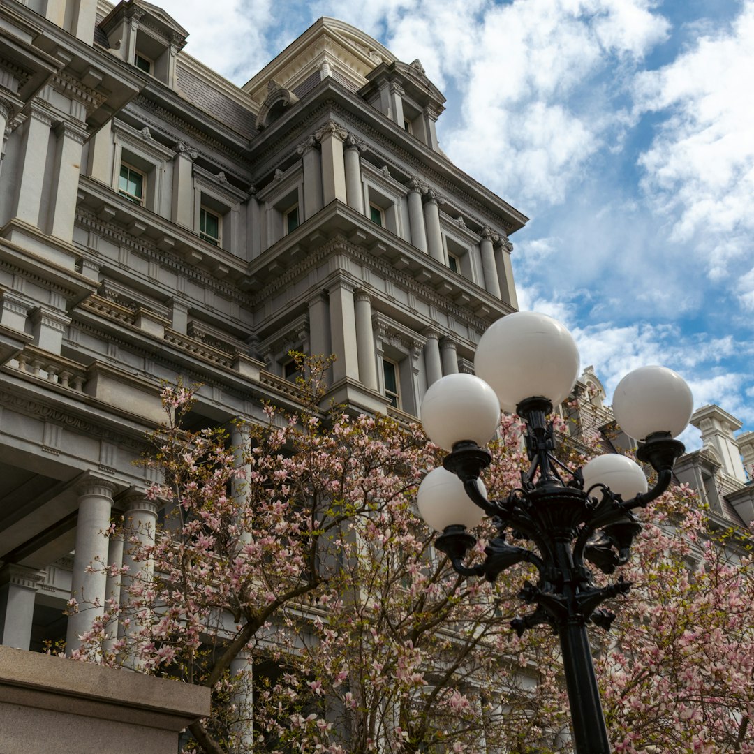 federal sentencing guidelines — The white house grounds feature spring blossoms.